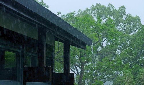 将军府茶香四溢  第3张