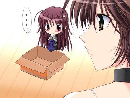 迷人的家教,揭秘迷人家教背后的教育智慧