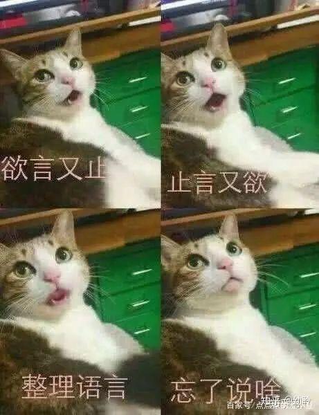 爱你欲言又止,欲言又止的深情告白  第3张