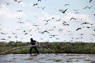 巴拉塔里亚,探寻古老文明的神秘足迹  第3张
