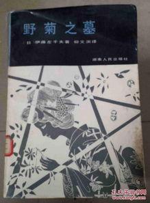 野菊之墓,缅怀与传承的哀歌  第2张